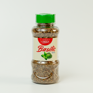 BASILIC