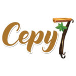 Département des Ressources Humaines